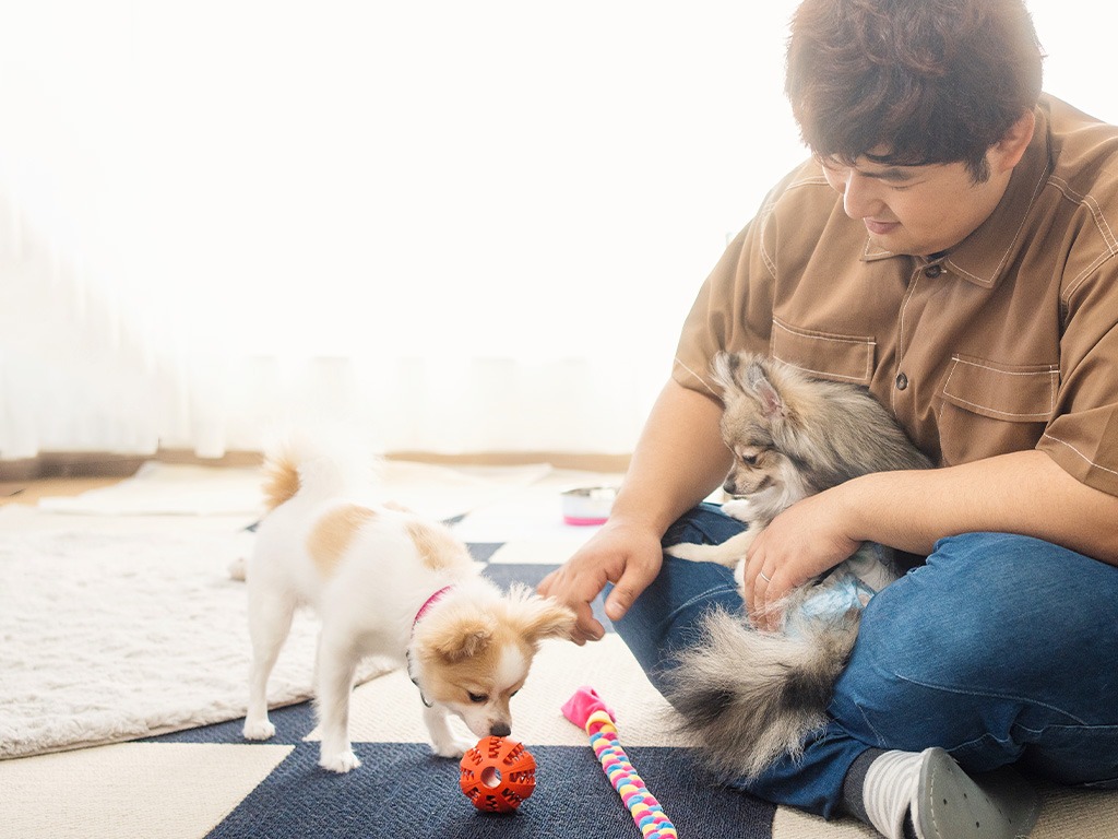 ペットホテル情報